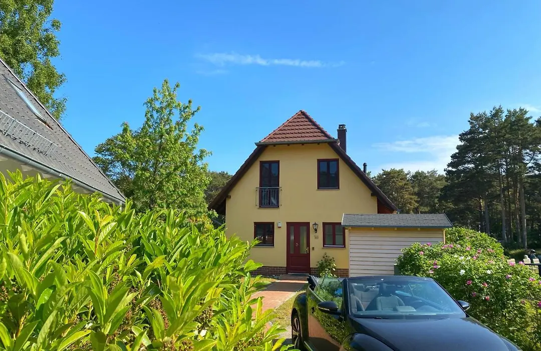 Ferienhaus am Leuchtturm-1