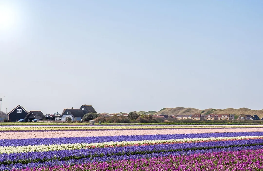 Chalet Luttikduin Nr 22 - Callantsoog Aan Zee-1