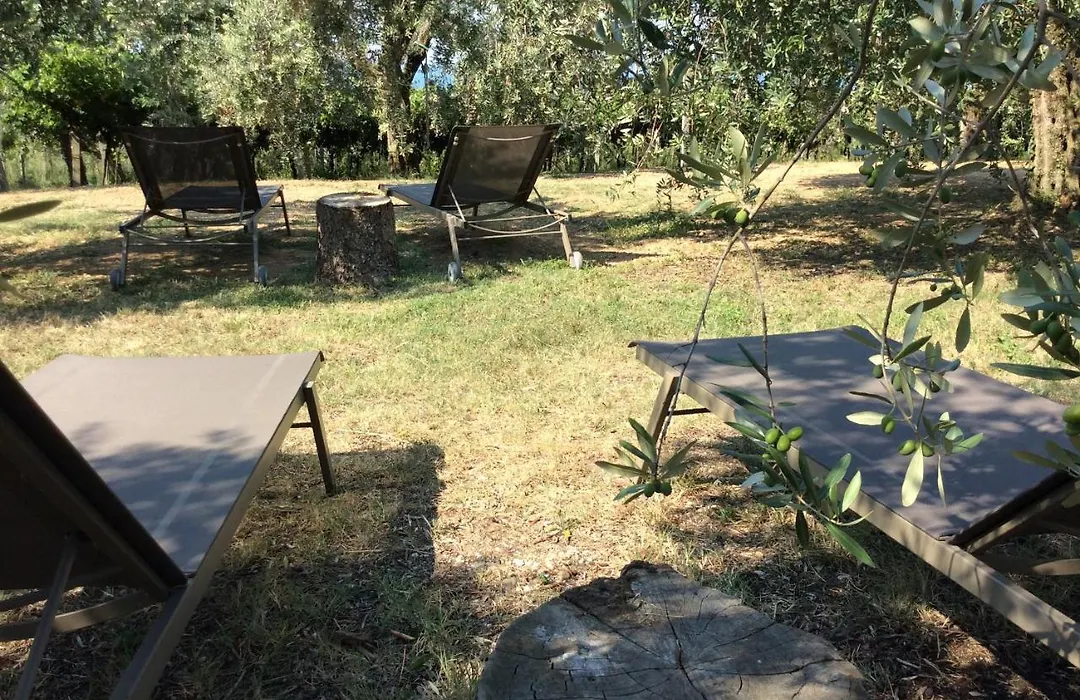 Agriturismo Tenuta La Pergola-1