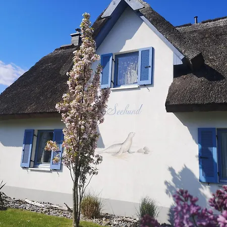 Ferienhaus Seehund-3