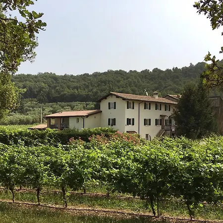 Agriturismo Ca' Castellani-3
