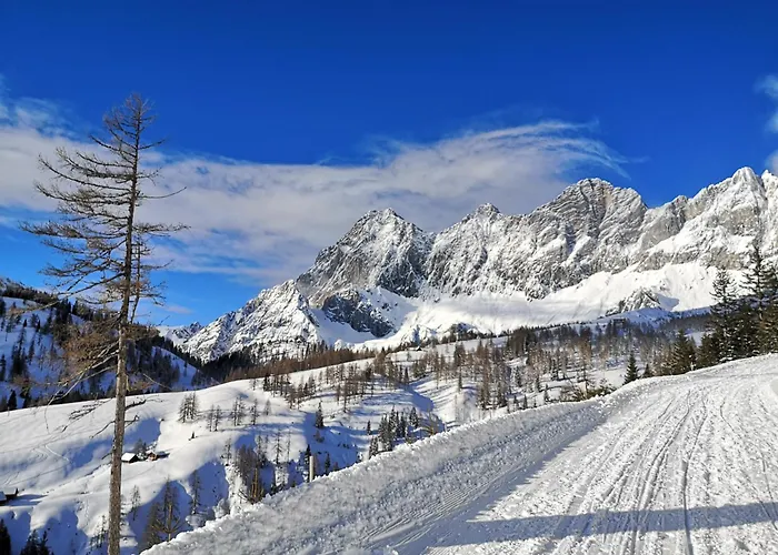 Brandhof - Chalets am Berg Ramsau am Dachstein