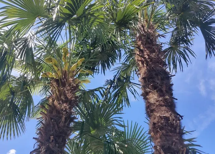 Mareithof Appartements Seeblick Kaltern