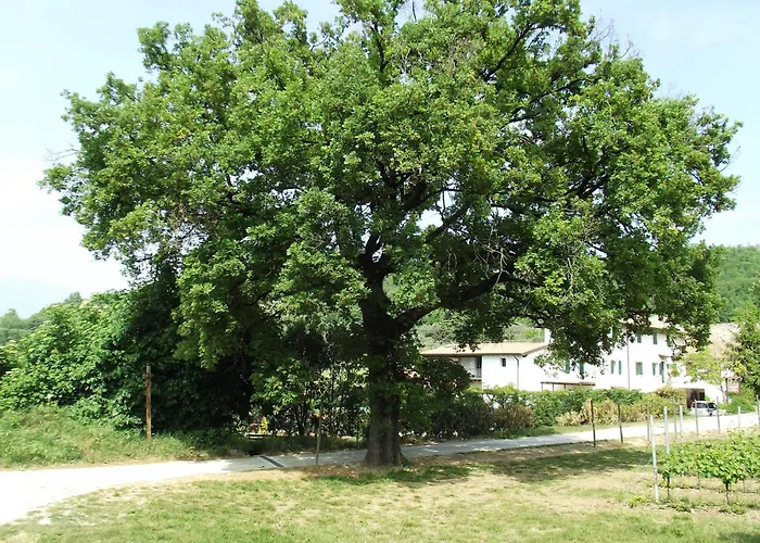 Agriturismo Ca' Castellani Bardolino