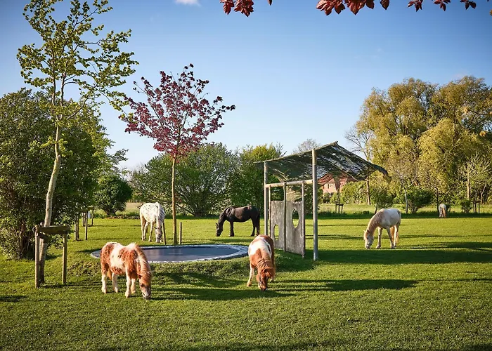 Gasthaus Traberhof Schillig