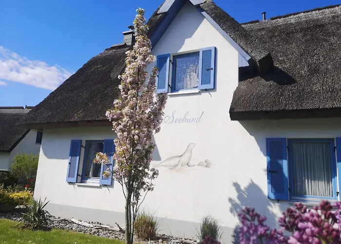 Ferienhaus Seehund Glowe